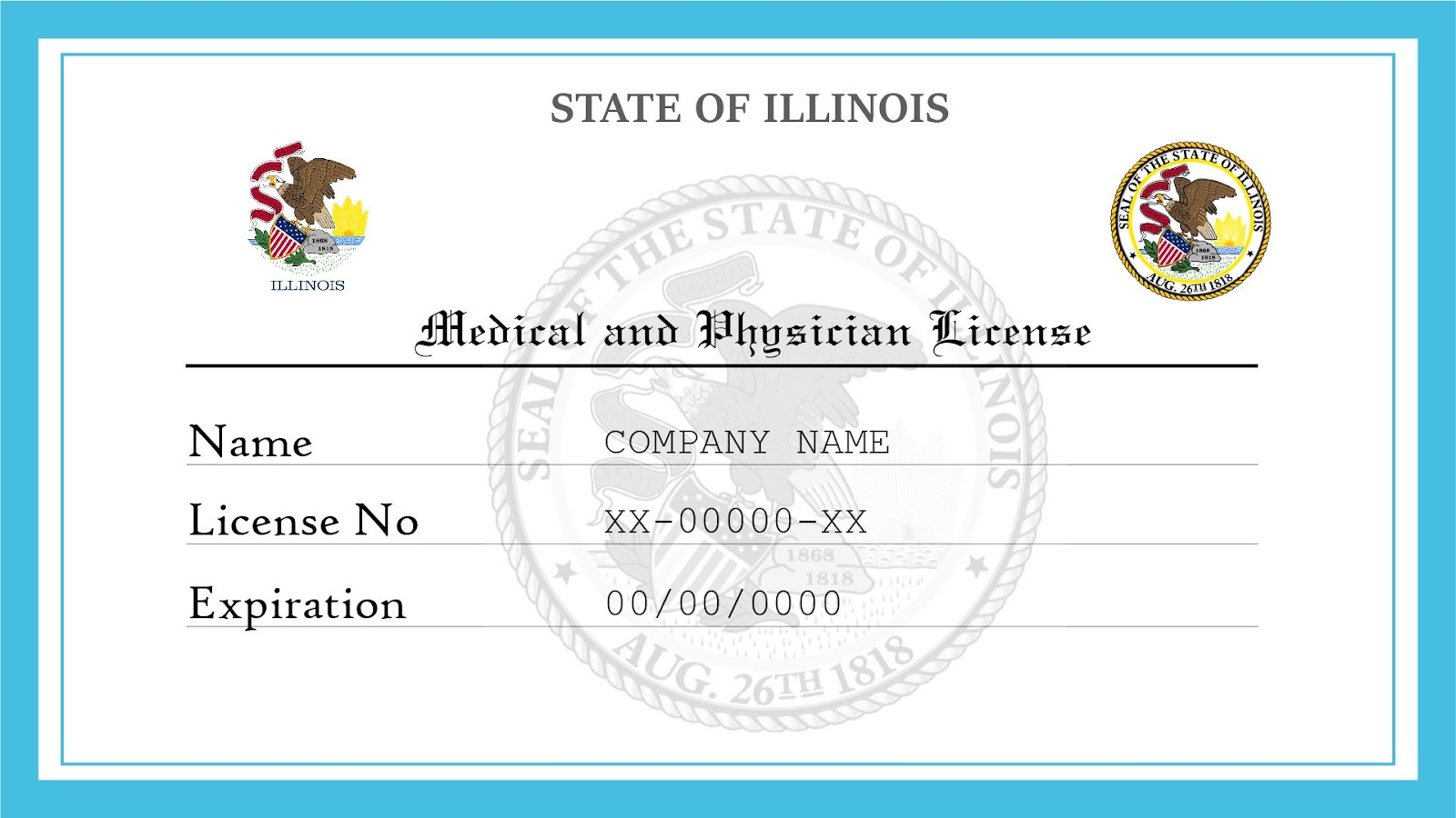 Illinois Medical License example